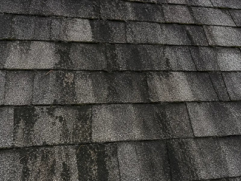 Roof Cleaning — before cleaning